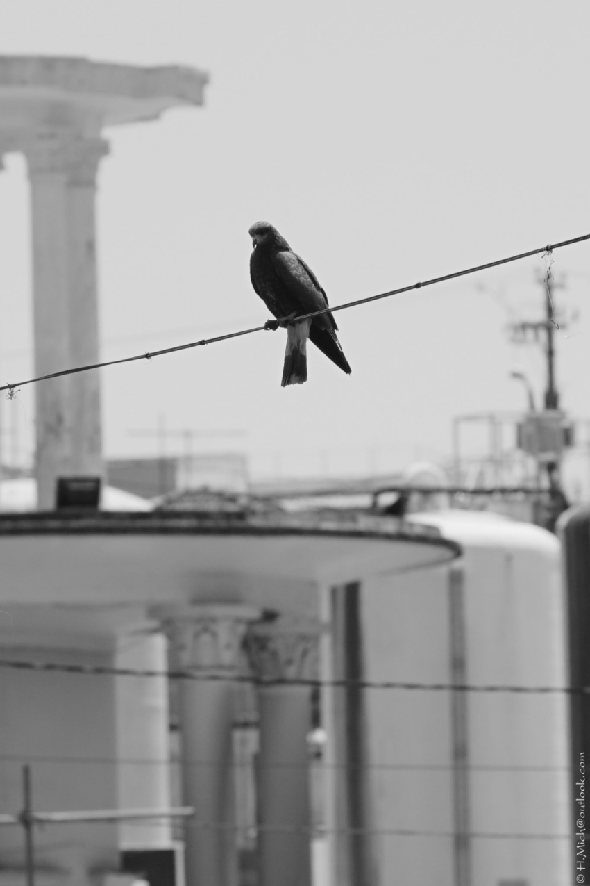 Studio-One.Art.br Repo Fotografia em Rio Preto SP/Brasil