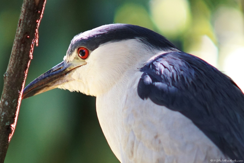 Studio-One.Art.br Repo Fotografia em Rio Preto SP/Brasil