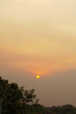2022 06 15(341)