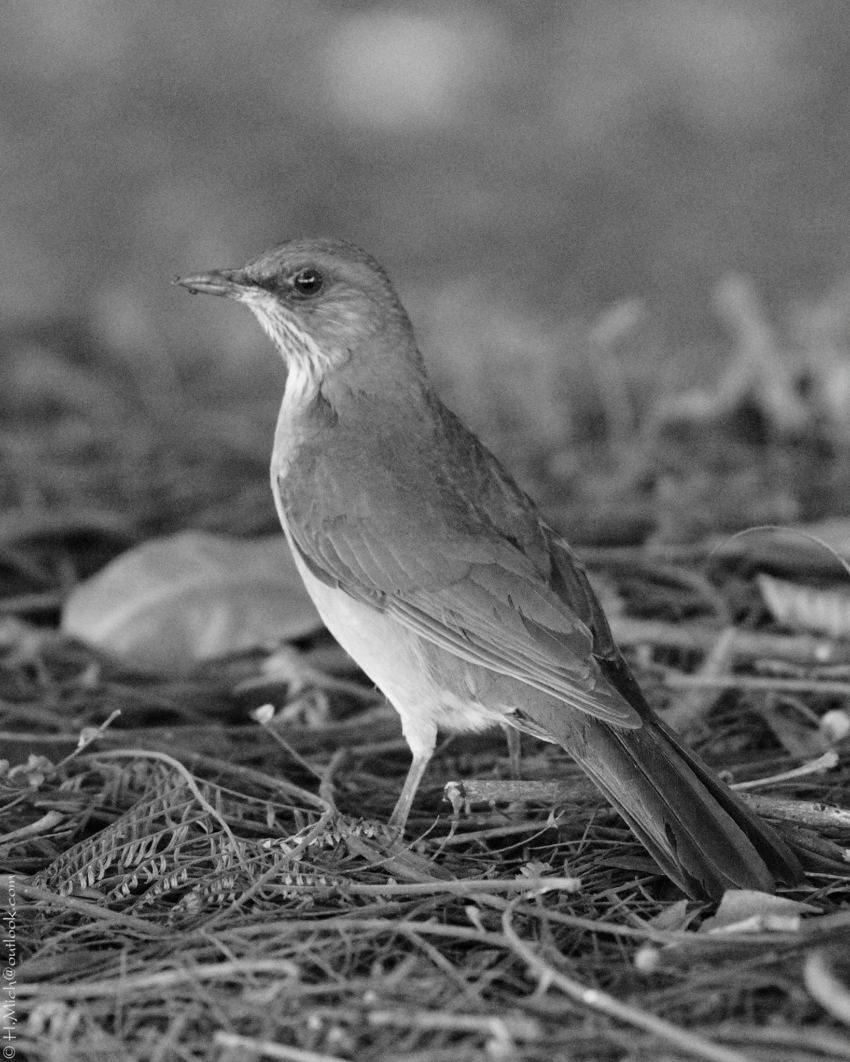 Studio-One.Art.br Repo Fotografia em Rio Preto SP/Brasil