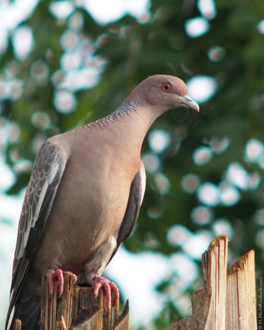 Studio-One.Art.br Repo Fotografia em Rio Preto SP/Brasil