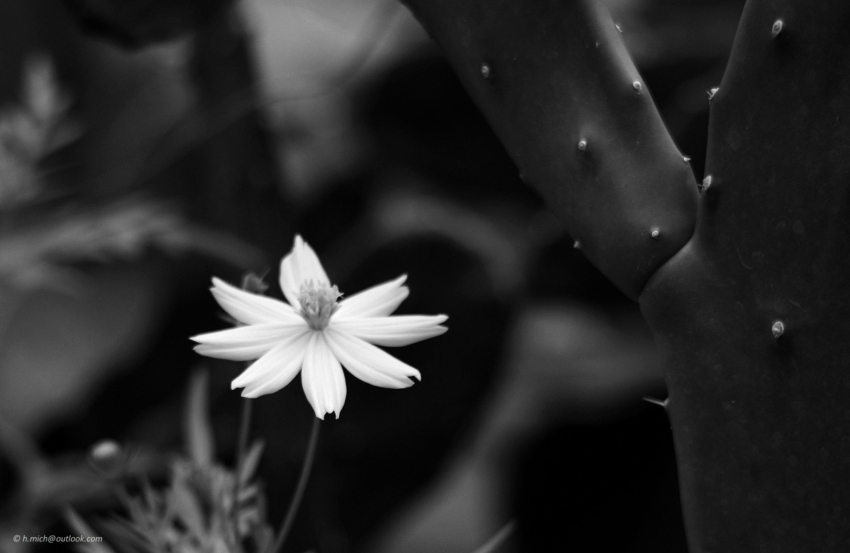 Studio-One.Art.br Repo Fotografia em Rio Preto SP/Brasil