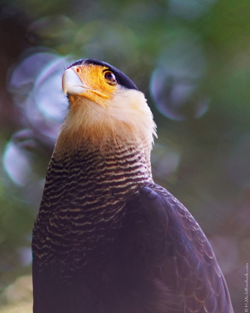 Studio-One.Art.br Repo Fotografia em Rio Preto SP/Brasil