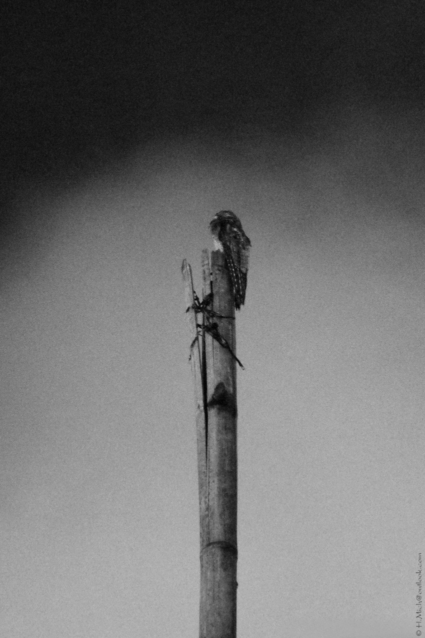 Studio-One.Art.br Repo Fotografia em Rio Preto SP/Brasil