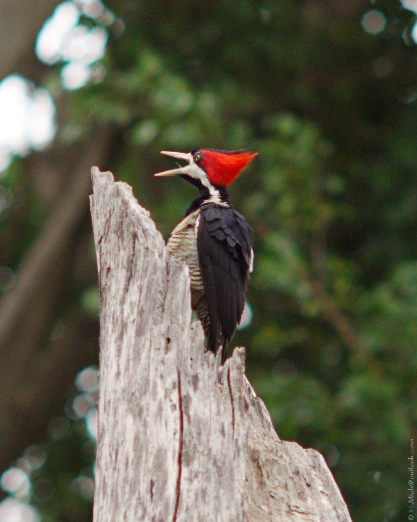 Studio-One.Art.br Repo Fotografia em Rio Preto SP/Brasil