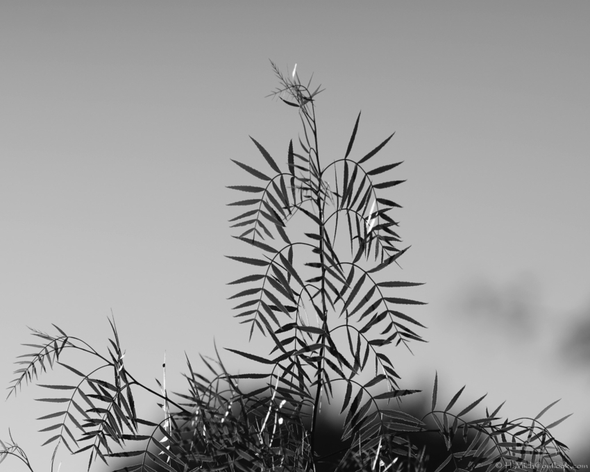 Studio-One.Art.br Repo Fotografia em Rio Preto SP/Brasil