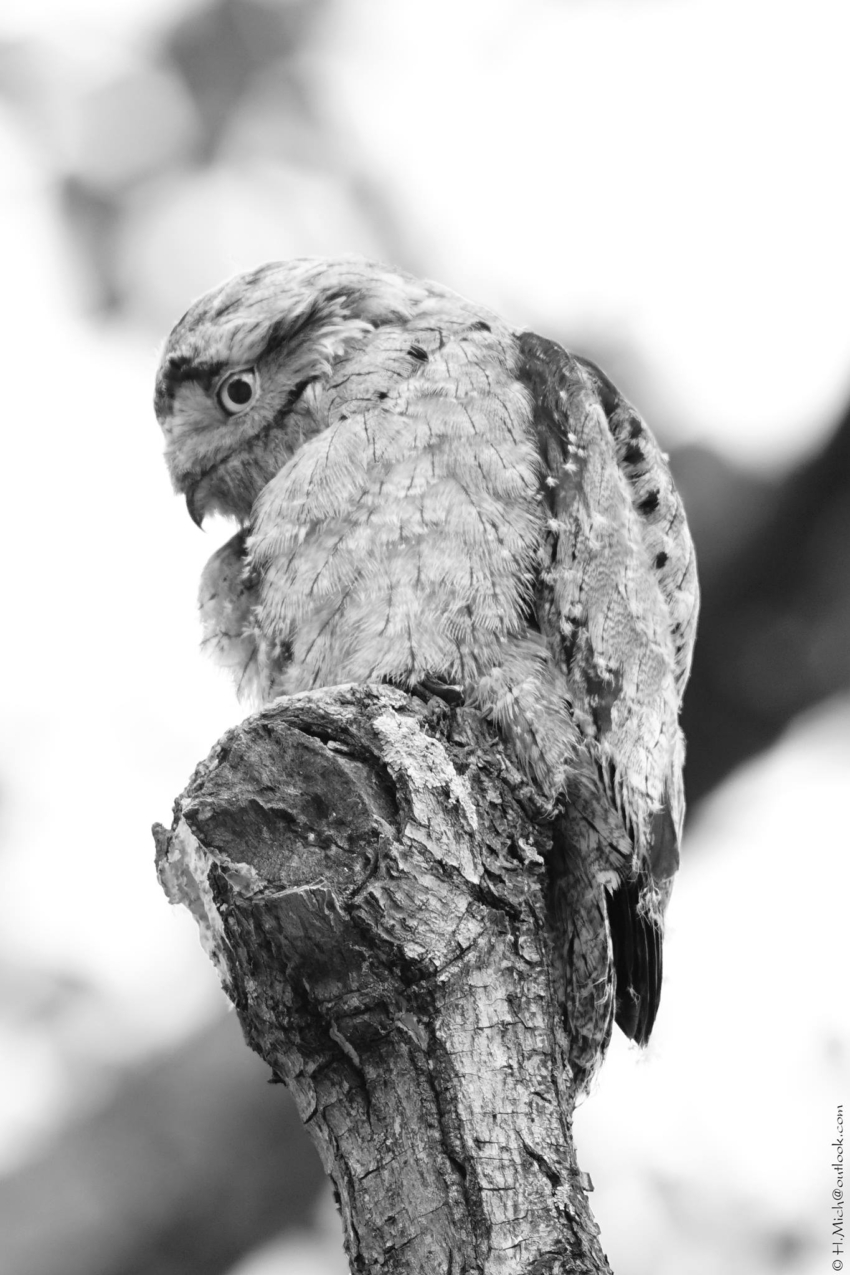 Studio-One.Art.br Repo Fotografia em Rio Preto SP/Brasil