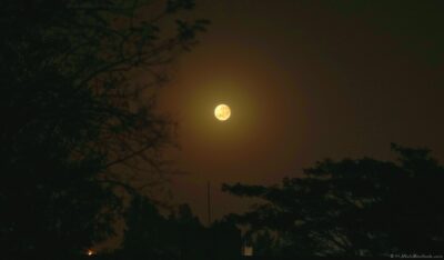 2022 06 15(35)