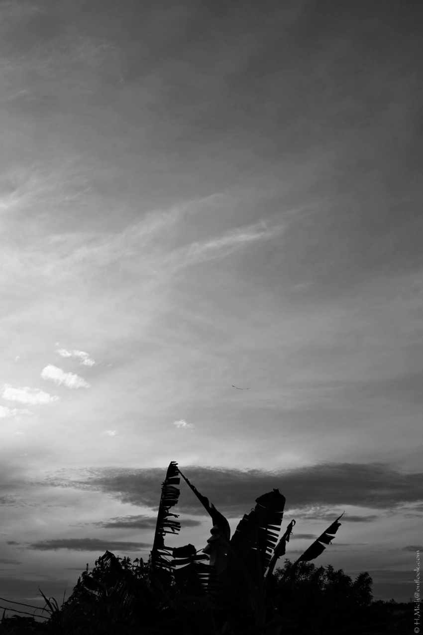 Studio-One.Art.br Repo Fotografia em Rio Preto SP/Brasil