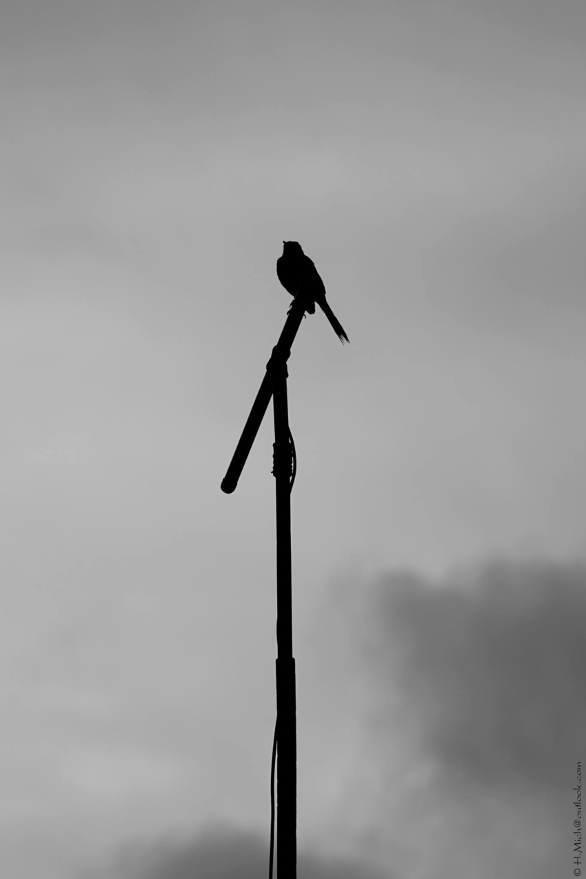 Studio-One.Art.br Repo Fotografia em Rio Preto SP/Brasil