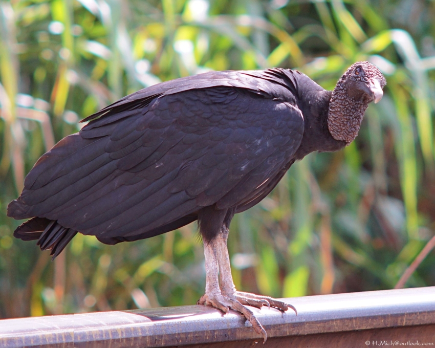 Studio-One.Art.br Repo Fotografia em Rio Preto SP/Brasil