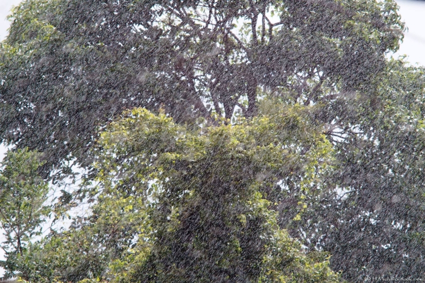 Studio-One.Art.br Repo Fotografia em Rio Preto SP/Brasil