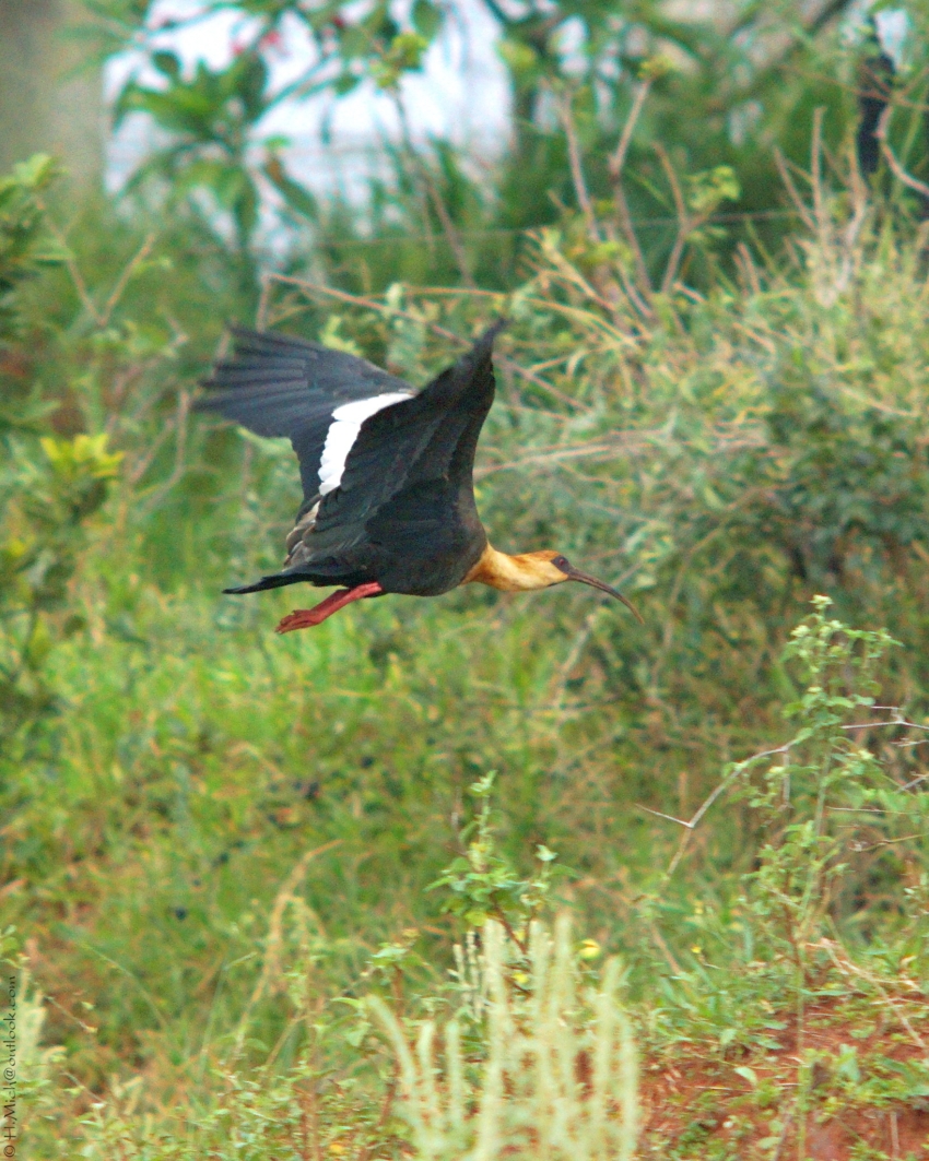 Studio-One.Art.br Repo Fotografia em Rio Preto SP/Brasil