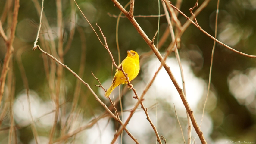 Studio-One.Art.br Repo Fotografia em Rio Preto SP/Brasil