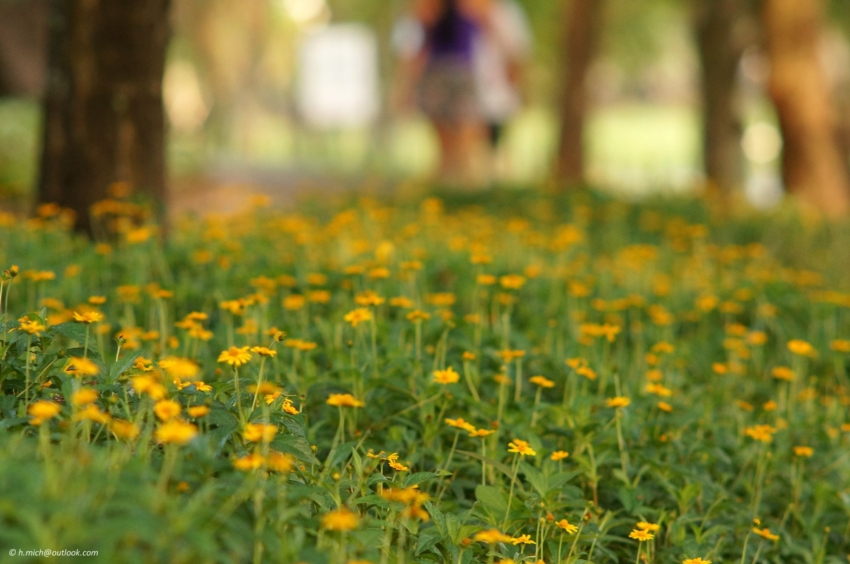 Studio-One.Art.br Repo Fotografia em Rio Preto SP/Brasil