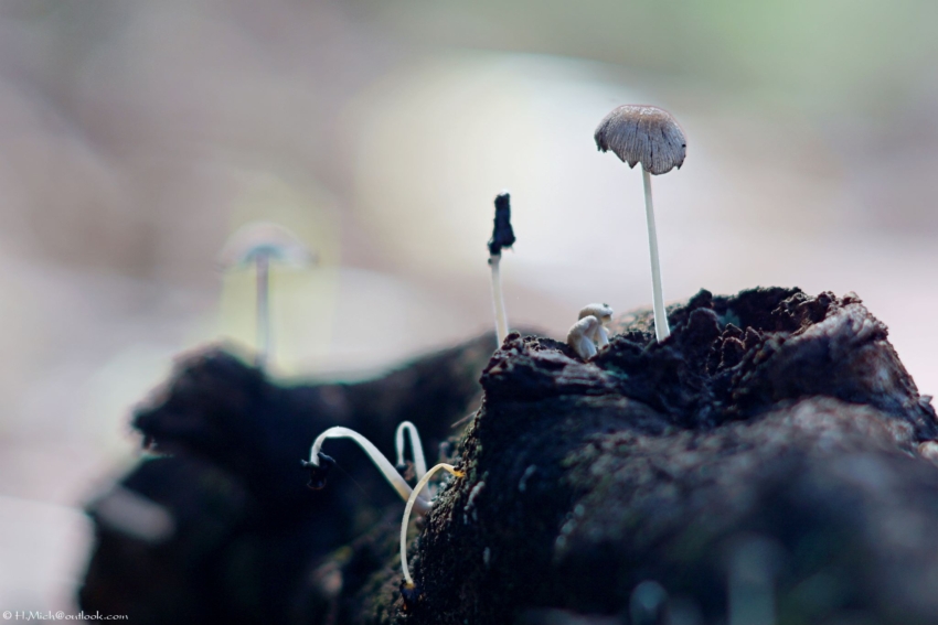 Studio-One.Art.br Repo Fotografia em Rio Preto SP/Brasil