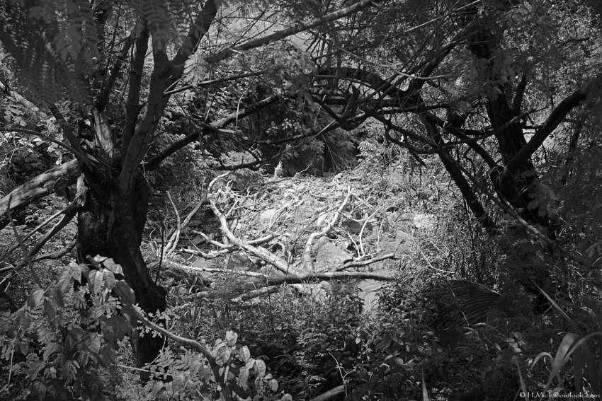 Studio-One.Art.br Repo Fotografia em Rio Preto SP/Brasil