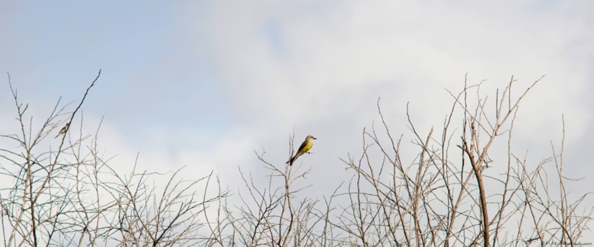 Studio-One.Art.br Repo Fotografia em Rio Preto SP/Brasil