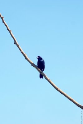 2022 06 15(358)