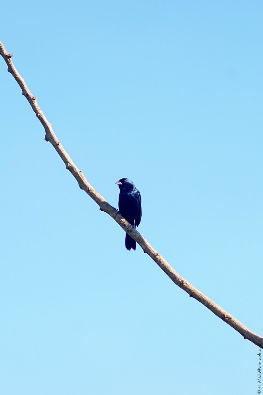 Studio-One.Art.br Repo Fotografia em Rio Preto SP/Brasil