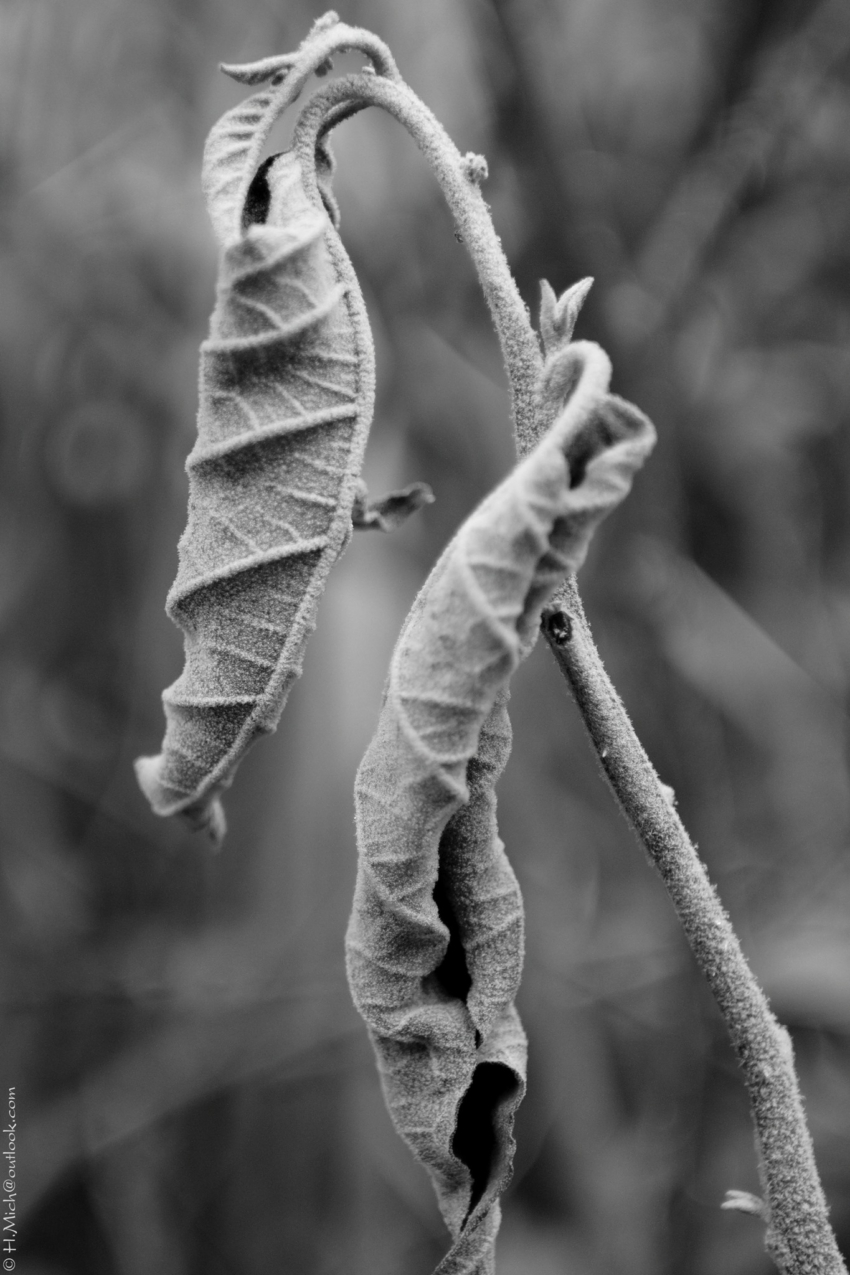 Studio-One.Art.br Repo Fotografia em Rio Preto SP/Brasil