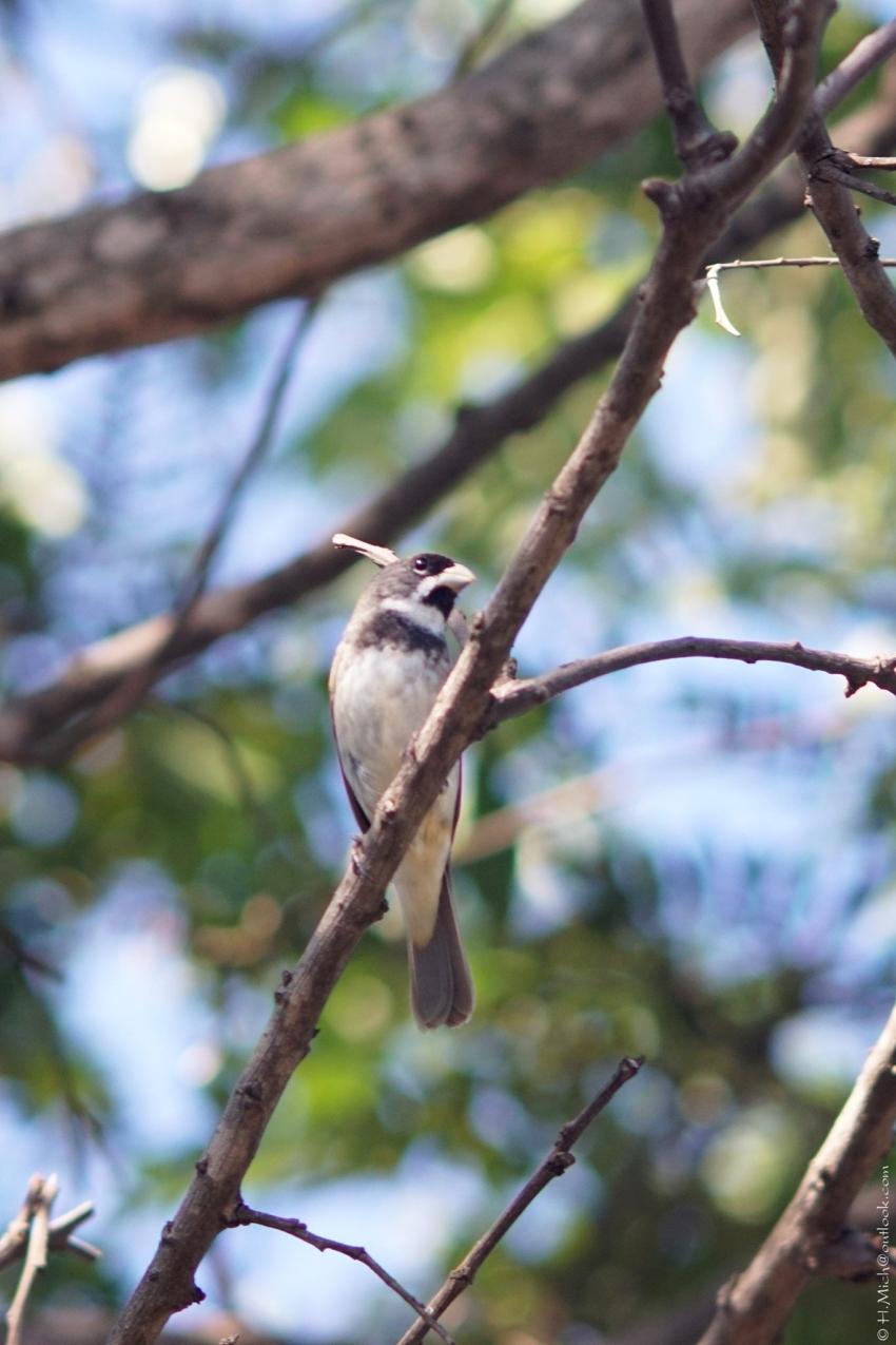 Studio-One.Art.br Repo Fotografia em Rio Preto SP/Brasil