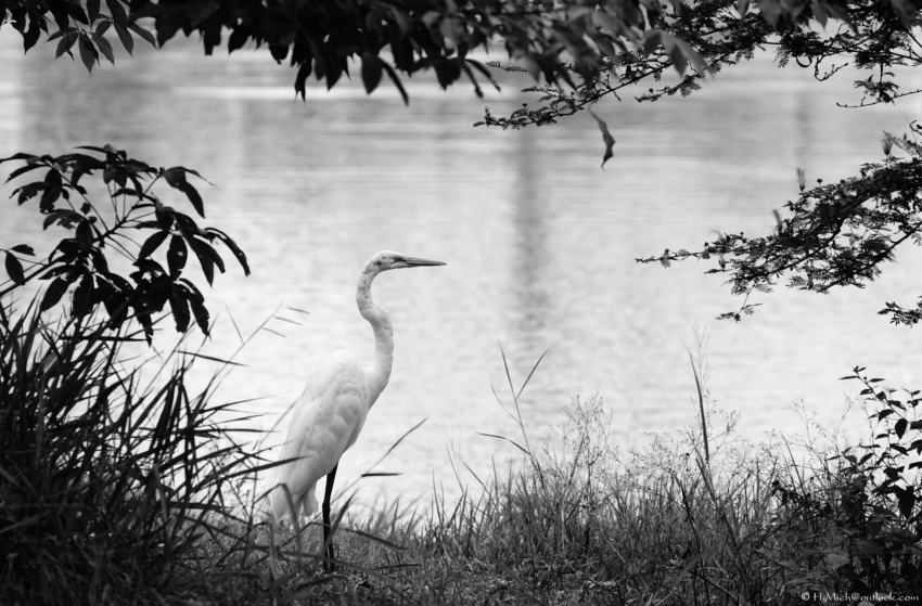 Studio-One.Art.br Repo Fotografia em Rio Preto SP/Brasil