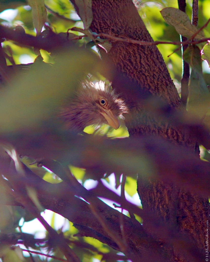 Studio-One.Art.br Repo Fotografia em Rio Preto SP/Brasil