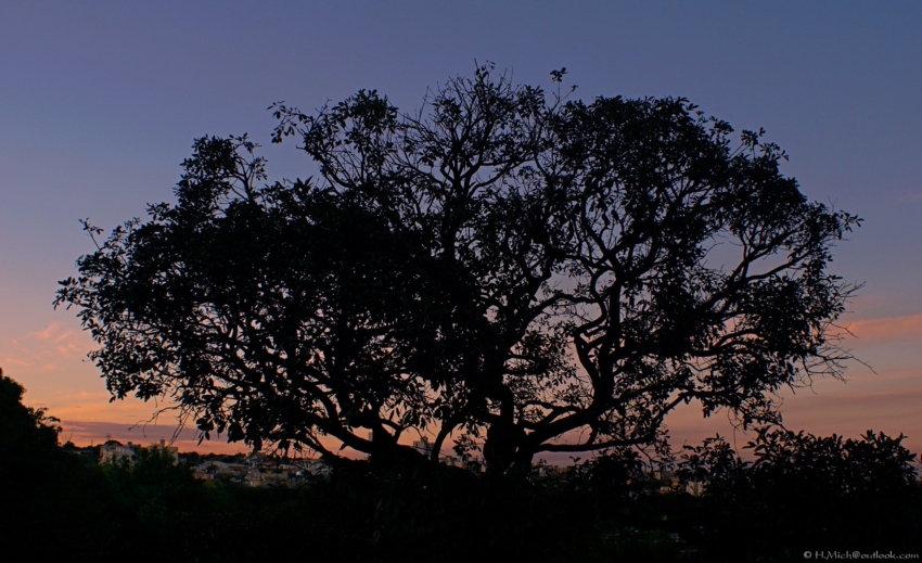 Studio-One.Art.br Repo Fotografia em Rio Preto SP/Brasil