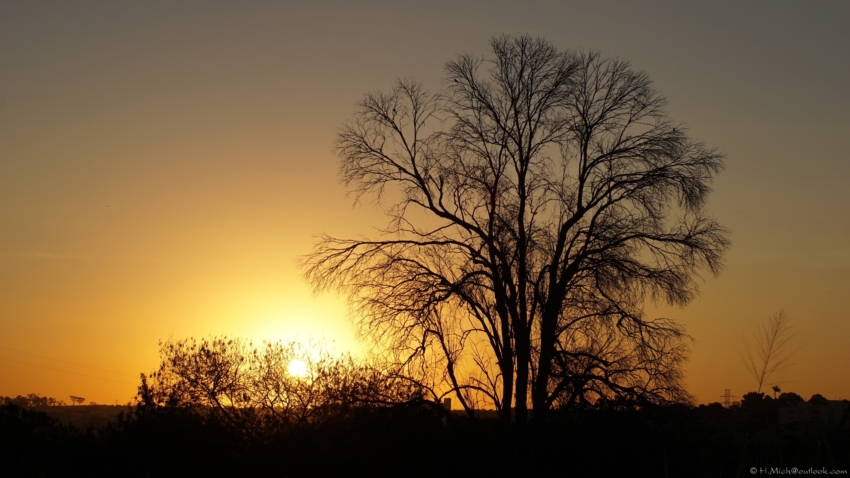 Studio-One.Art.br Repo Fotografia em Rio Preto SP/Brasil