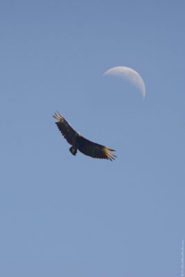 2022 06 15(360)