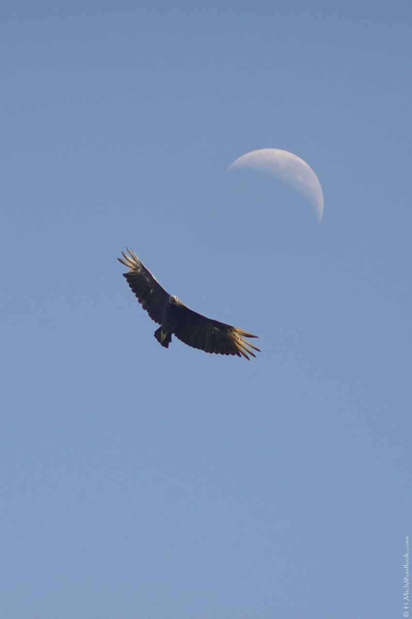 Studio-One.Art.br Repo Fotografia em Rio Preto SP/Brasil