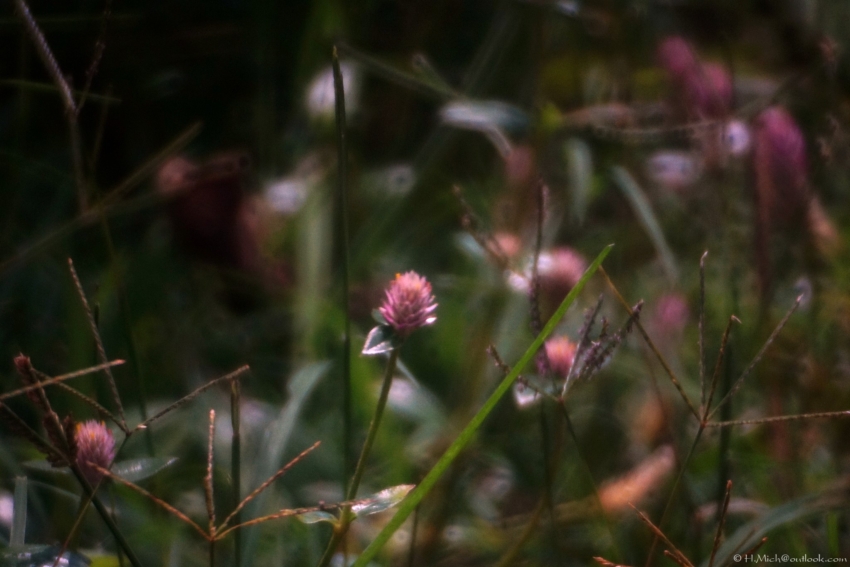 Studio-One.Art.br Repo Fotografia em Rio Preto SP/Brasil