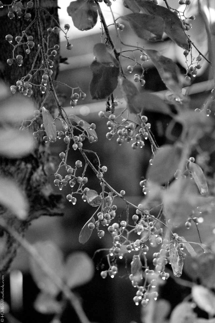 Studio-One.Art.br Repo Fotografia em Rio Preto SP/Brasil