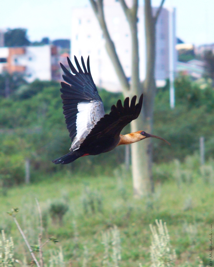 Studio-One.Art.br Repo Fotografia em Rio Preto SP/Brasil
