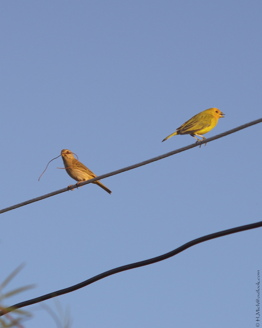 Studio-One.Art.br Repo Fotografia em Rio Preto SP/Brasil
