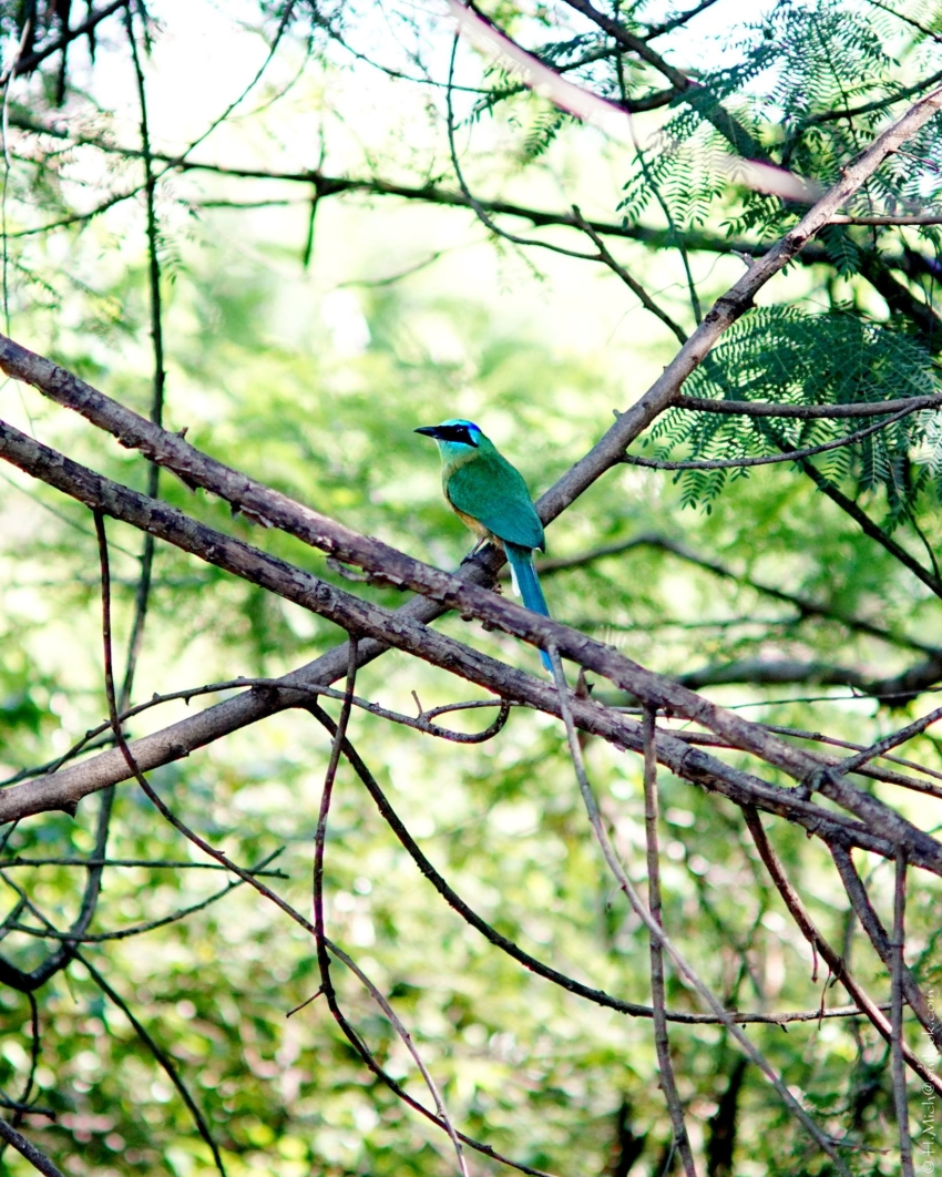 Studio-One.Art.br Repo Fotografia em Rio Preto SP/Brasil