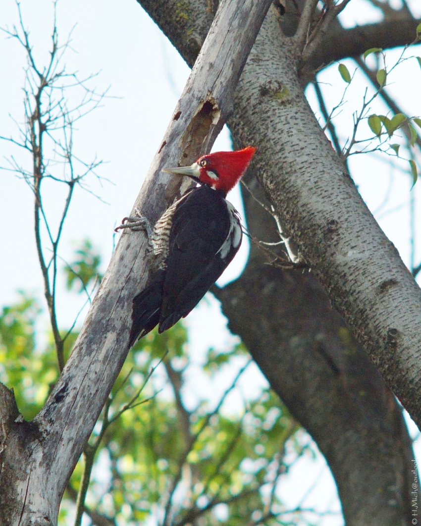 Studio-One.Art.br Repo Fotografia em Rio Preto SP/Brasil