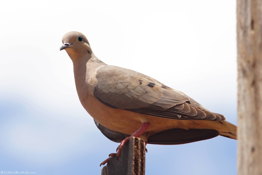 Studio-One.Art.br Repo Fotografia em Rio Preto SP/Brasil