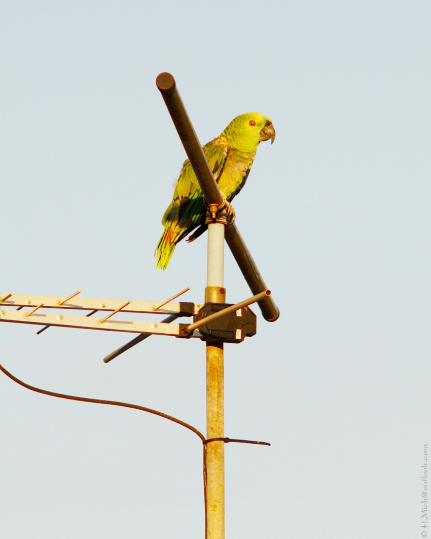 Studio-One.Art.br Repo Fotografia em Rio Preto SP/Brasil