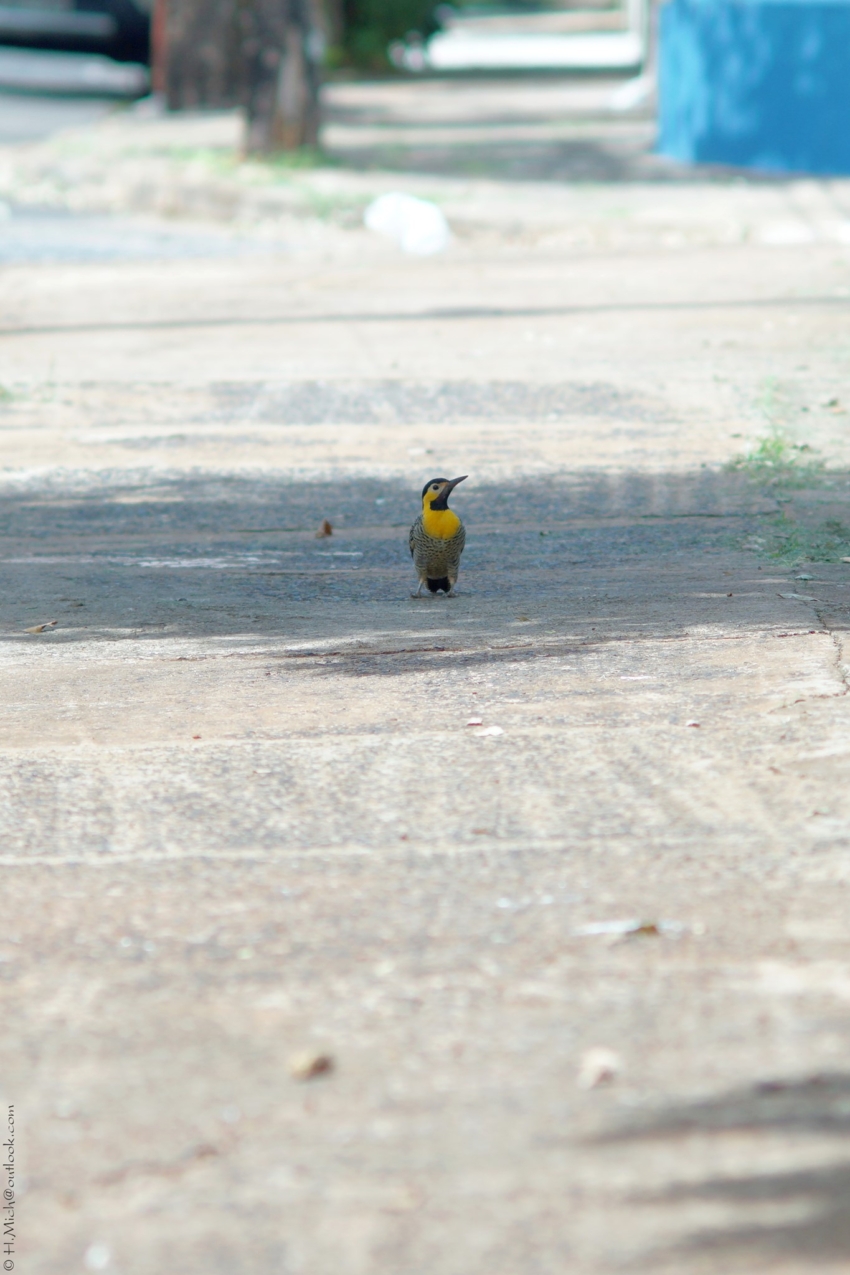 Studio-One.Art.br Repo Fotografia em Rio Preto SP/Brasil