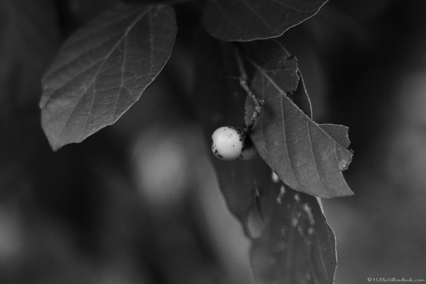 Studio-One.Art.br Repo Fotografia em Rio Preto SP/Brasil