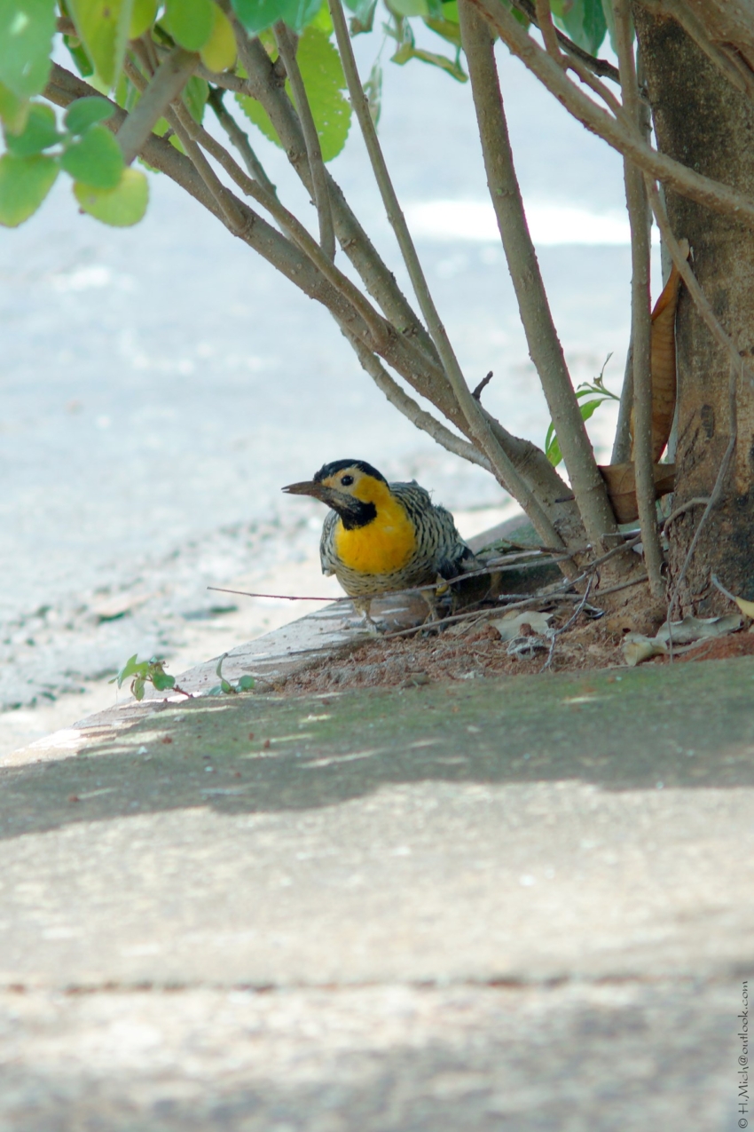 Studio-One.Art.br Repo Fotografia em Rio Preto SP/Brasil