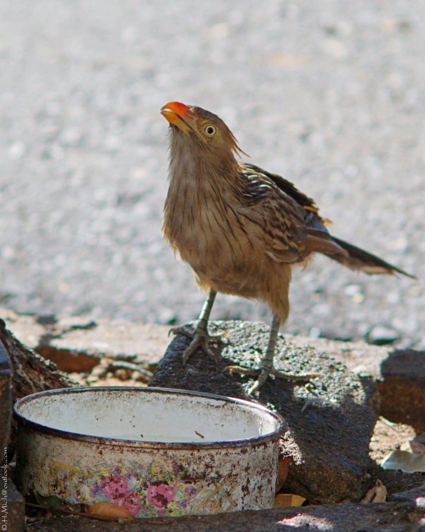 Studio-One.Art.br Repo Fotografia em Rio Preto SP/Brasil