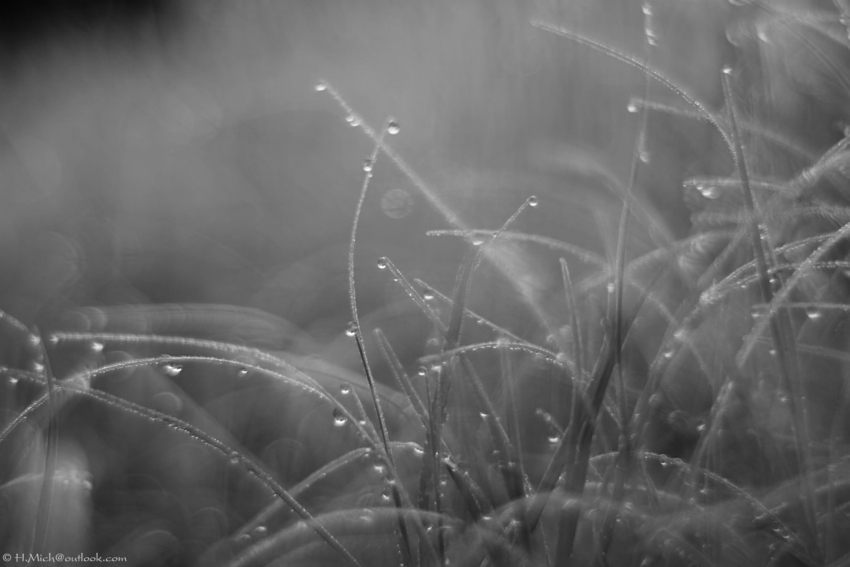 Studio-One.Art.br Repo Fotografia em Rio Preto SP/Brasil