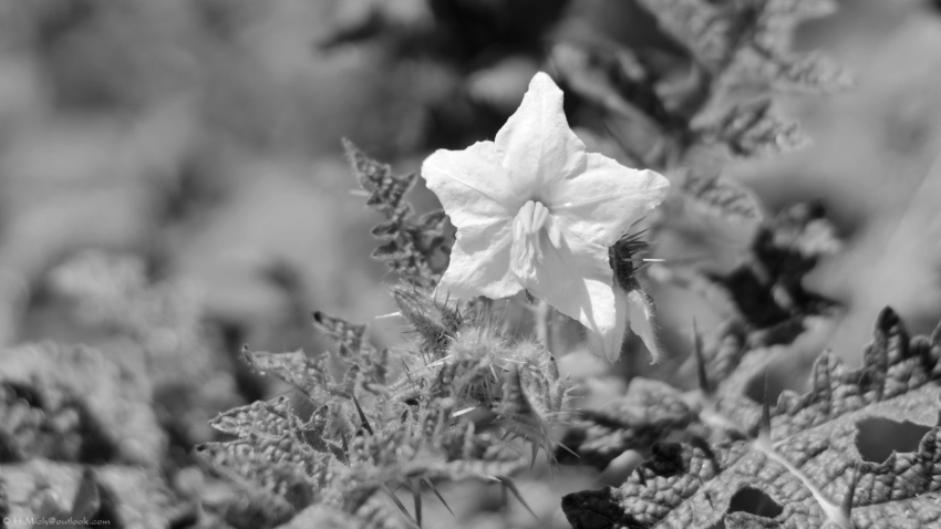 Studio-One.Art.br Repo Fotografia em Rio Preto SP/Brasil