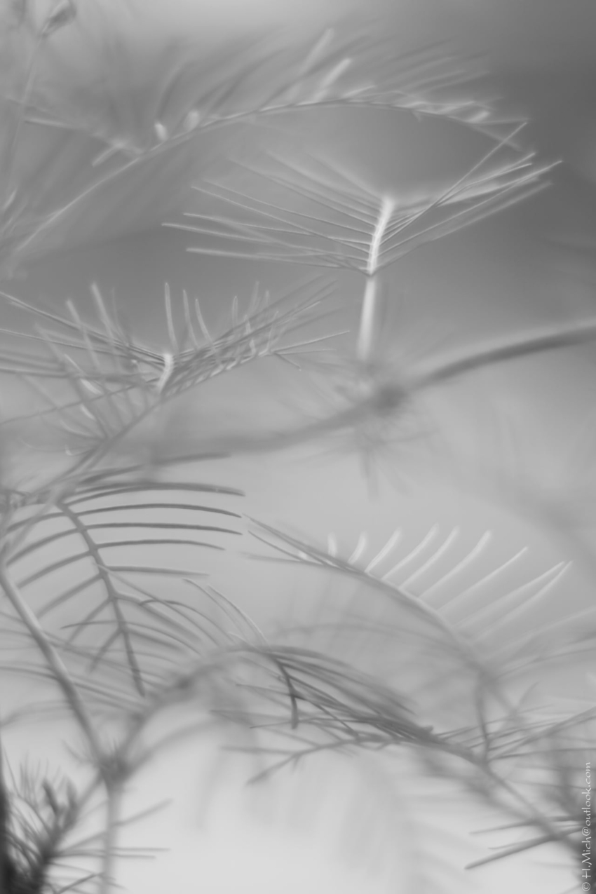 Studio-One.Art.br Repo Fotografia em Rio Preto SP/Brasil