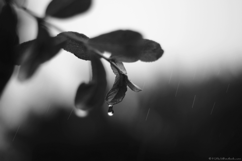 Studio-One.Art.br Repo Fotografia em Rio Preto SP/Brasil