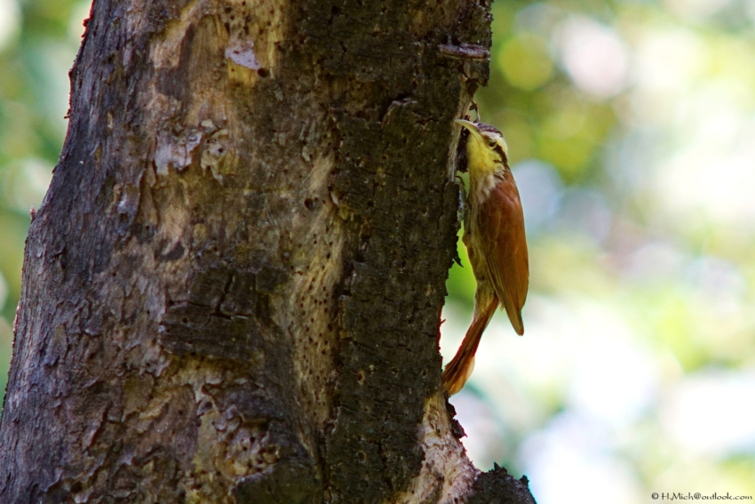Studio-One.Art.br Repo Fotografia em Rio Preto SP/Brasil