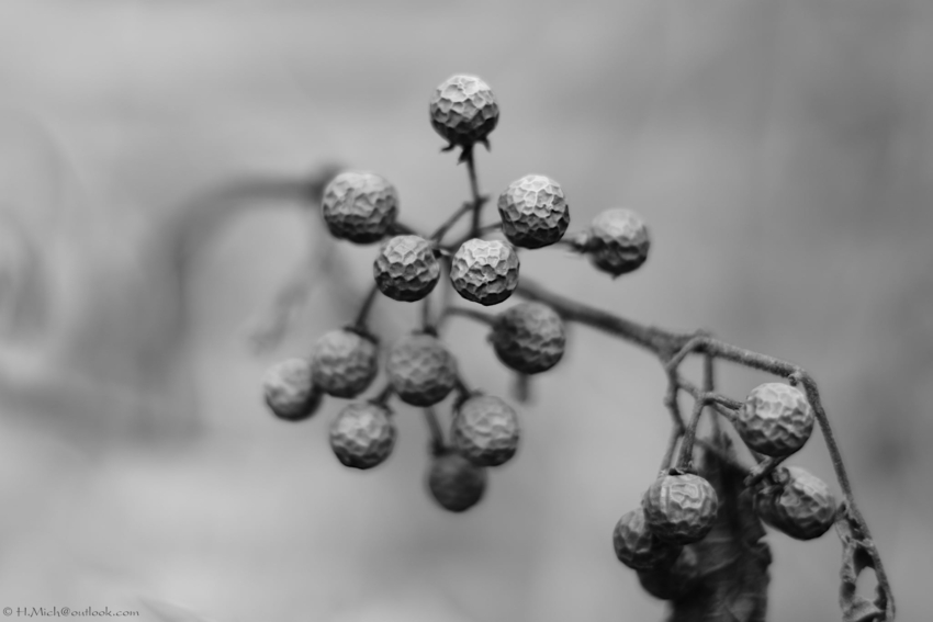 Studio-One.Art.br Repo Fotografia em Rio Preto SP/Brasil